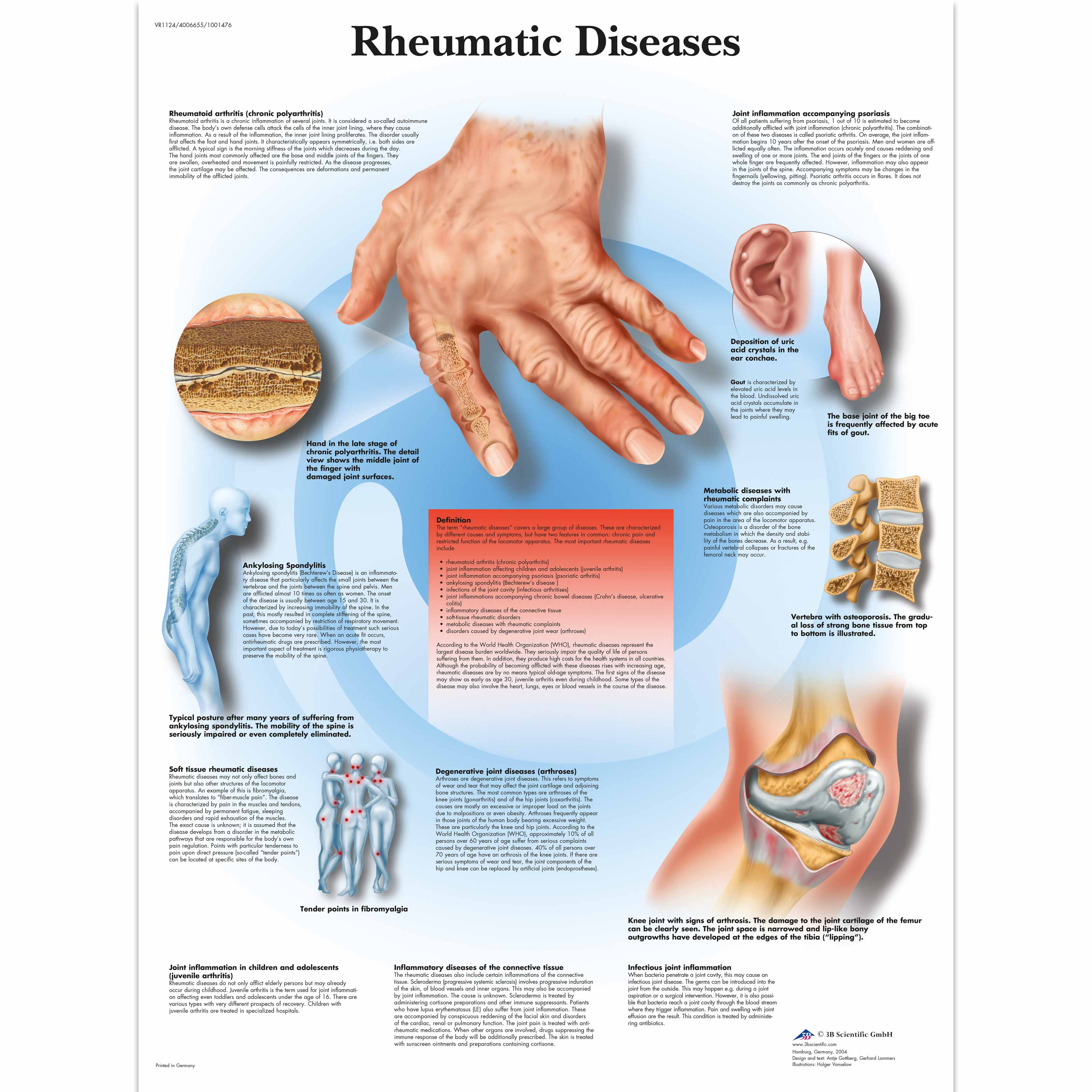 Anatomical Charts And Posters - Anatomy Charts - Geriatric Health ...